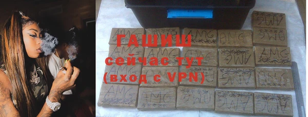 хмурый Алзамай