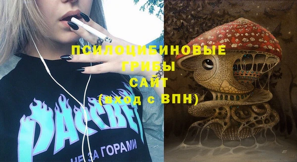хмурый Алзамай
