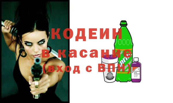 хмурый Алзамай