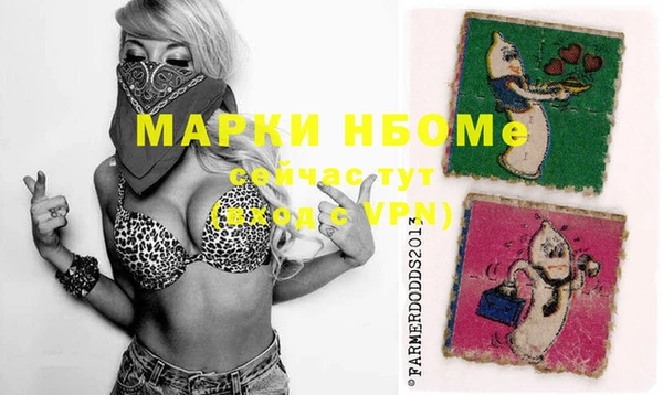сатива Алексеевка