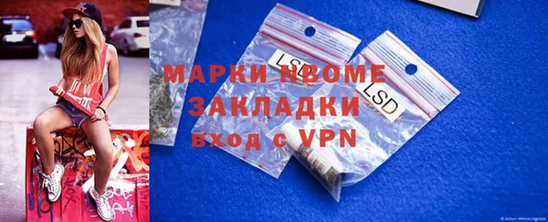 хмурый Алзамай