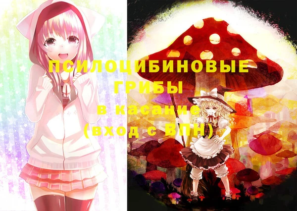 хмурый Алзамай