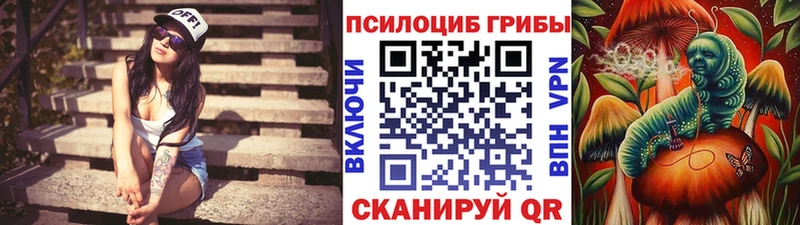 Галлюциногенные грибы GOLDEN TEACHER  наркошоп  Тихвин 
